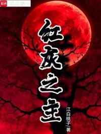 红灰之主